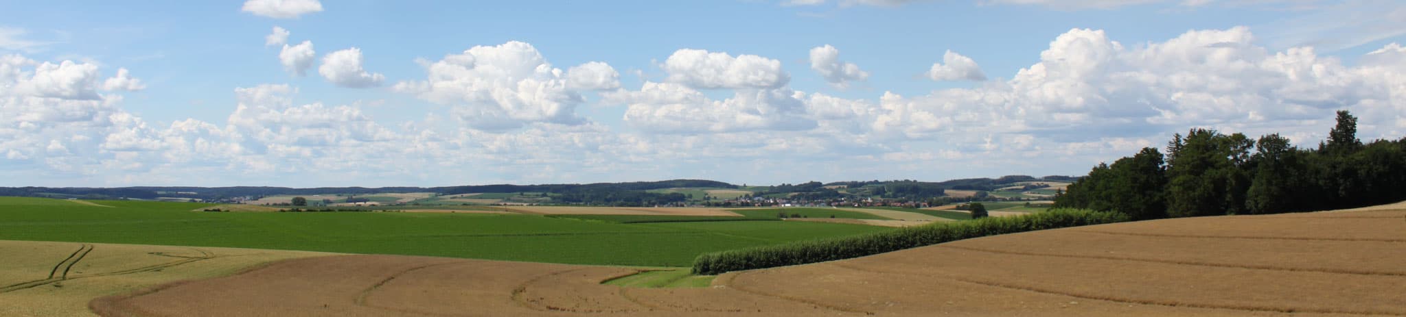Website Waldgasthof Hart